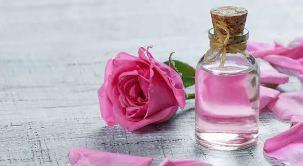 تعبیر خواب گلاب از امام صادق + برای زن متاهل و باردار و دختر مجرد