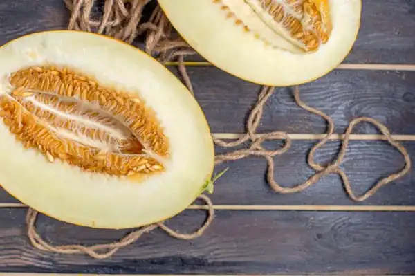 تعبیر خواب خربزه و جنسیت جنین + برای زن متاهل و باردار و دختر مجرد