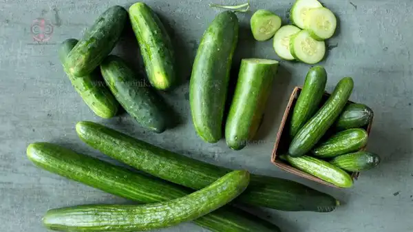 تعبیر خواب خیار خوردن مرده + برای زن متاهل و باردار و دختر مجرد