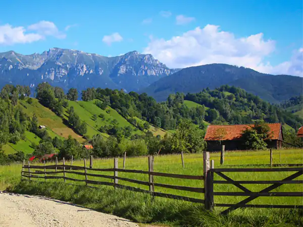 تعبیر خواب مزرعه حضرت یوسف + برای زن متاهل و باردار و دختر مجرد
