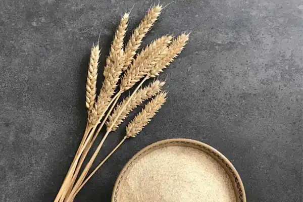 تعبیر خواب گندم حضرت یوسف + برای زن متاهل و باردار و دختر مجرد