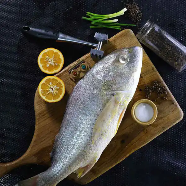 تعبیر خواب خریدن ماهی + برای زن متاهل و باردار و دختر مجرد