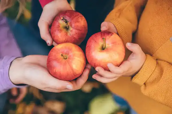 تعبیر خواب خوردن سیب + برای زن متاهل و باردار و دختر مجرد