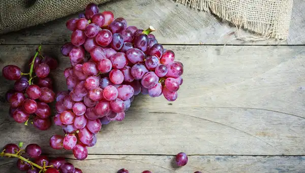 تعبیر خواب انگور برای زن باردار + برای زن متاهل و دختر مجرد