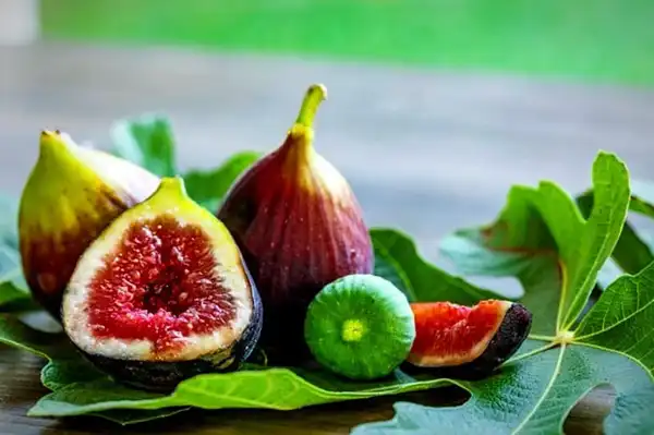 تعبیر خواب انجیر برای زن باردار + برای زن متاهل و دختر مجرد