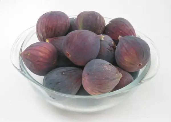 تعبیر خواب انجیر سیاه برای زن باردار + برای زن متاهل و دختر مجرد