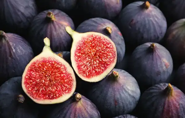 تعبیر خواب انجیر قرمز + برای زن متاهل و باردار و دختر مجرد