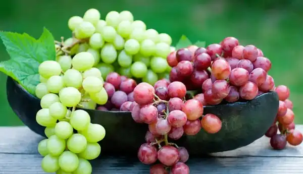 تعبیر خواب دادن انگور به دیگران + برای زن متاهل و باردار و دختر مجرد