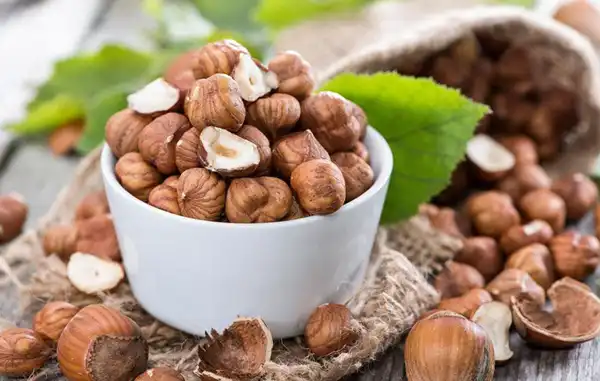 تعبیر خواب فندق حضرت یوسف + برای زن متاهل و باردار و دختر مجرد