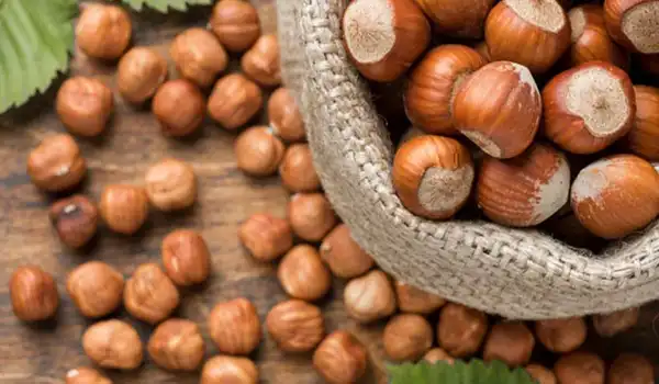 تعبیر خواب فندق خوردن + برای زن متاهل و باردار