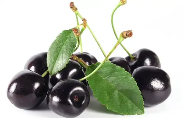 تعبیر خواب گیلاس سیاه + برای زن متاهل و باردار و دختر مجرد