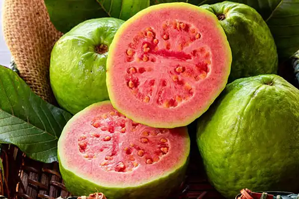 تعبیر خواب گواوا + برای زن متاهل و باردار و دختر مجرد