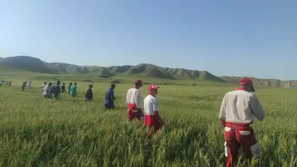 تعبیر خواب گم شدن در روستا + برای زن متاهل و باردار و دختر مجرد