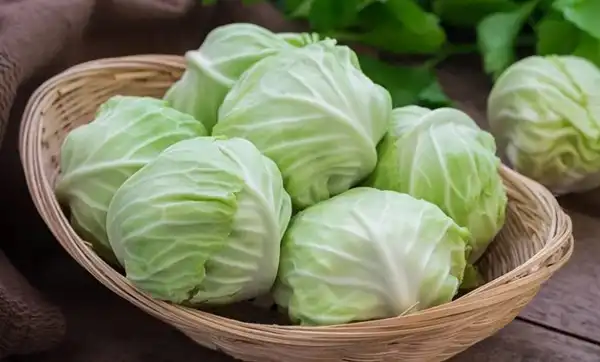 تعبیر خواب کلم + برای زن متاهل و باردار و دختر مجرد