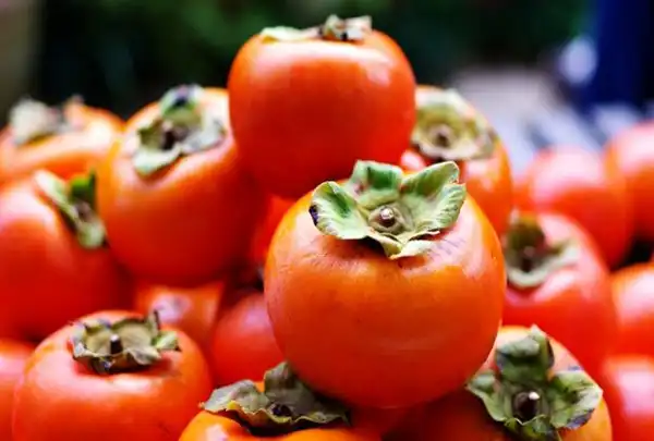 تعبیر خواب خرمالو زن باردار + برای زن متاهل و باردار و دختر مجرد