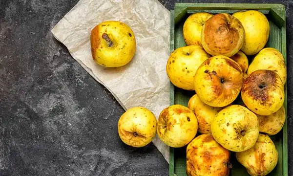 تعبیر خواب میوه گندیده + برای زن متاهل و باردار و دختر مجرد