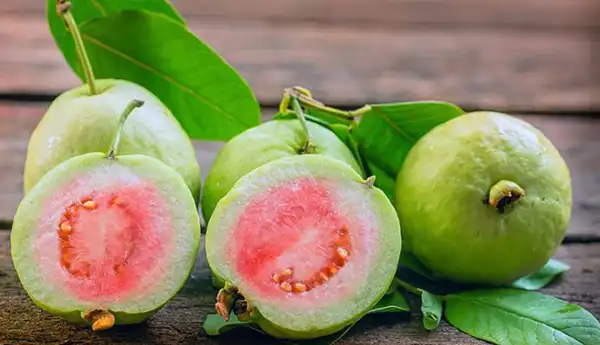 تعبیر خواب میوه گواوا + برای زن متاهل و باردار و دختر مجرد
