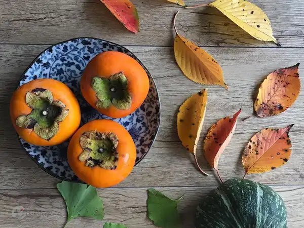 تعبیر خواب میوه خرمالو + برای زن متاهل و باردار