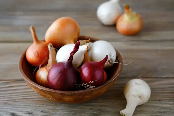 تعبیر خواب پیاز ابن سیرین + برای زن متاهل و باردار و دختر مجرد