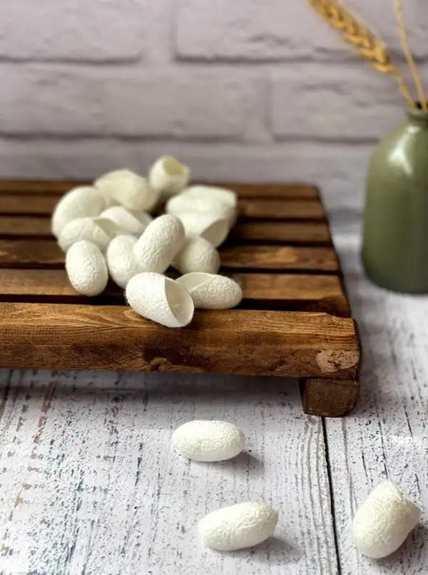 تعبیر خواب پیله + برای زن متاهل و باردار و دختر مجرد