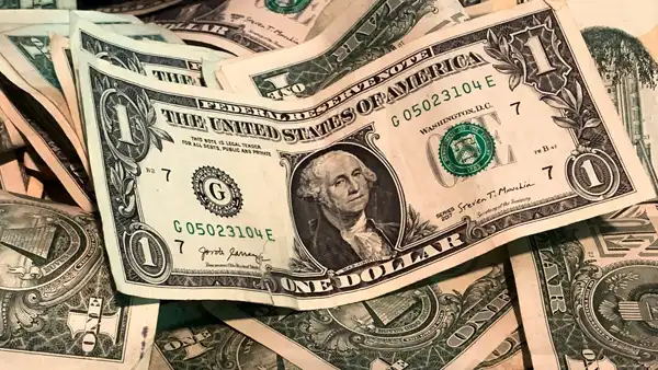 تعبیر خواب پول دلار + برای زن متاهل و باردار و دختر مجرد
