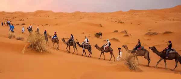 تعبیر خواب شتر سواری + برای زن متاهل و باردار و دختر مجرد