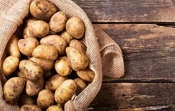 تعبیر خواب سیب زمینی برای زن باردار + برای زن متاهل و دختر مجرد
