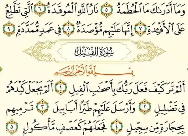 تعبیر خواب سوره فیل + برای زن متاهل و باردار و دختر مجرد