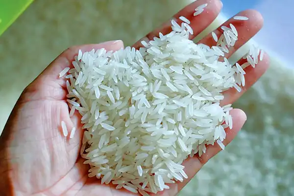 تعبیر خواب برنج سفید چیست + برای زن متاهل و باردار و دختر مجرد