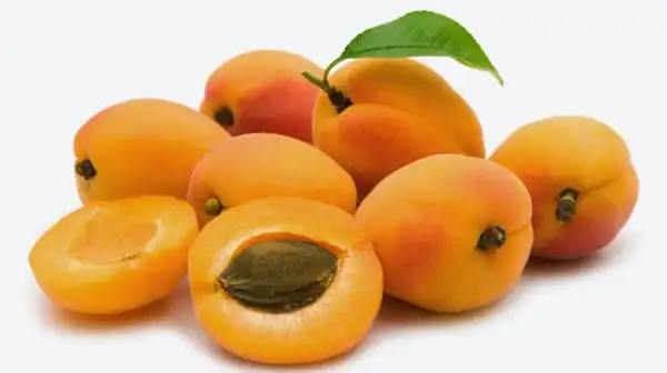 تعبیر خواب زردآلو نرسیده + برای زن متاهل و باردار و دختر مجرد