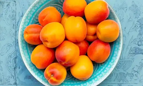 تعبیر خواب زردآلو رسیده + برای زن متاهل و باردار و دختر مجرد