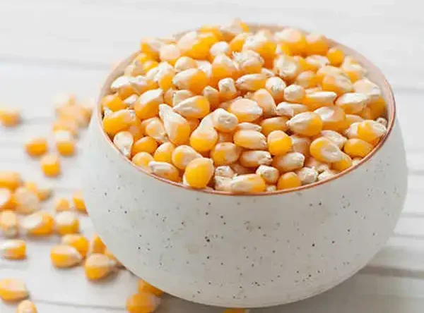 تعبیر خواب ذرت خشک + برای زن متاهل و باردار