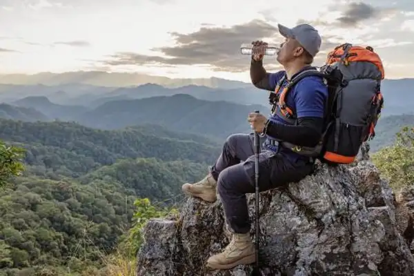 تعبیر خواب گم شدن در جنگل + برای زن متاهل و باردار و دختر مجرد