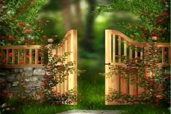 تعبیر خواب رفتن به بهشت + برای زن متاهل و باردار و دختر مجرد
