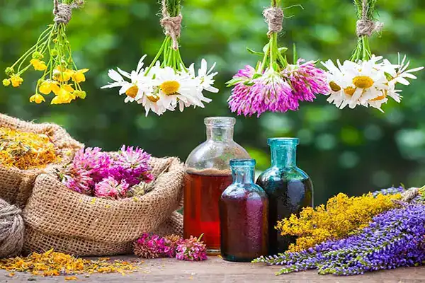 تعبیر خواب چیدن گیاه دارویی + برای زن متاهل و باردار و دختر مجرد