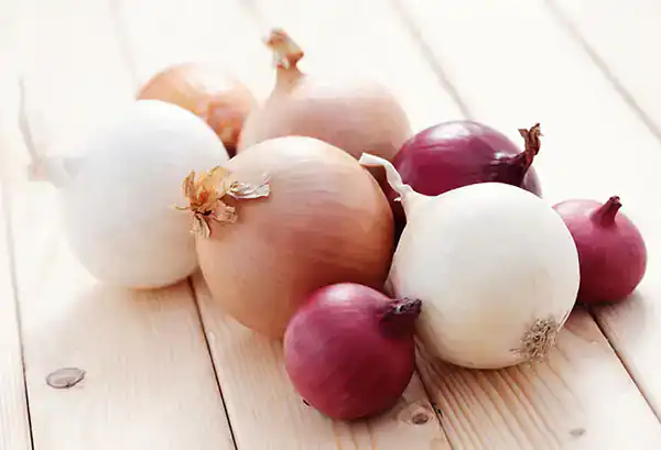تعبیر خواب دادن پیاز به دیگران + برای زن متاهل و باردار و دختر مجرد