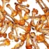 تعبیر خواب استخوان مرغ پخته شده برای زن متاهل و باردار و دختر مجرد