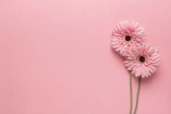تعبیر خواب رنگ صورتی + برای زن متاهل و باردار و دختر مجرد