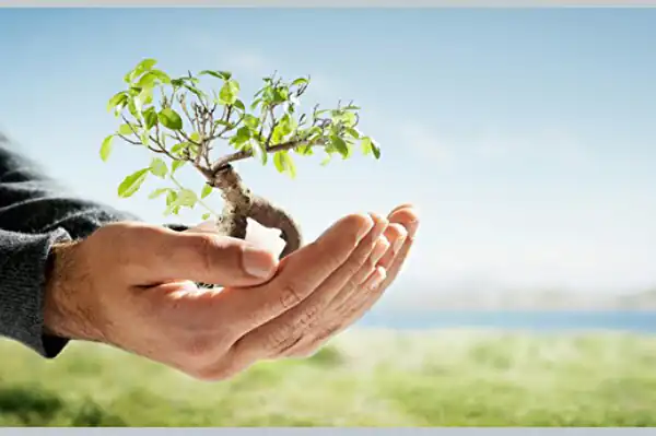 تعبیر خواب صدقه دادن چیست + برای زن متاهل و باردار و دختر مجرد