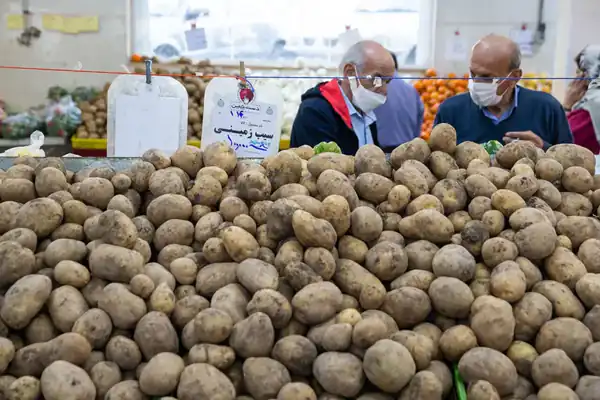 تعبیر خواب سیب زمینی ابن سیرین + برای زن متاهل و باردار و دختر مجرد