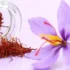 تعبیر خواب زعفران حضرت یوسف و شربت زعفران امام صادق و زعفران تازه و زعفران زیاد