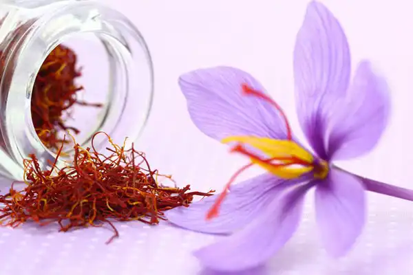 تعبیر خواب زعفران حضرت یوسف + برای زن متاهل و باردار و دختر مجرد