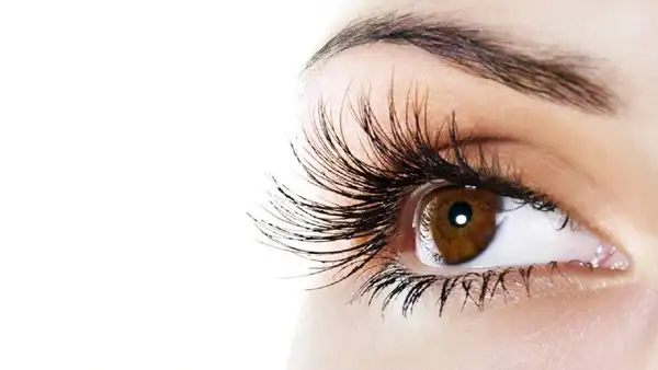مدل چشم گرگی + مدل های دخترانه و زنانه شیک و دلبر و جذاب چشم گرگی