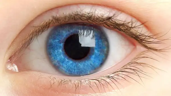 مدل چشم گرگی + مدل های دخترانه و زنانه شیک و دلبر و جذاب چشم گرگی